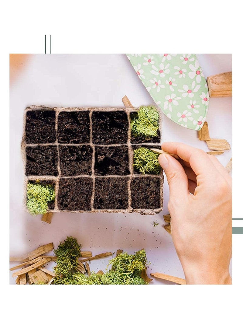 أواني الخث لبدء الزراعة، 10 قطع (120 خلية) صواني الشتلات للحديقة - 100% صديقة للبيئة وقابلة للتحلل مع ملصقات نباتات بلاستيكية إضافية - Image 4